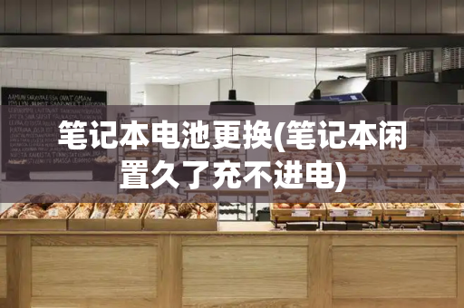 笔记本电池更换(笔记本闲置久了充不进电)-第1张图片-星选测评