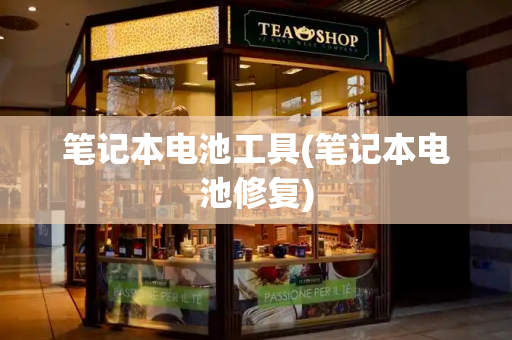 笔记本电池工具(笔记本电池修复)-第1张图片-星选测评