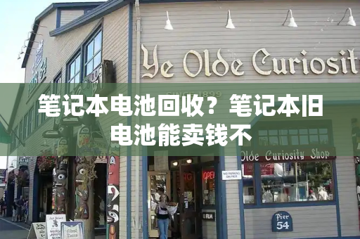 笔记本电池回收？笔记本旧电池能卖钱不-第1张图片-星选测评