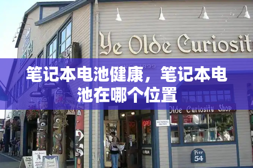 笔记本电池健康，笔记本电池在哪个位置-第1张图片-星选测评
