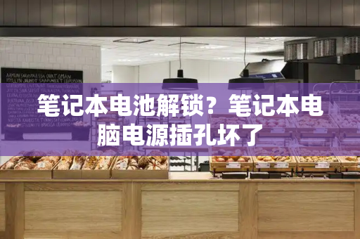 笔记本电池解锁？笔记本电脑电源插孔坏了-第1张图片-星选测评