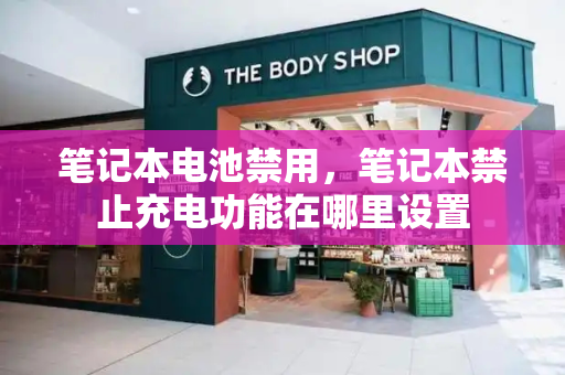 笔记本电池禁用，笔记本禁止充电功能在哪里设置-第1张图片-星选测评