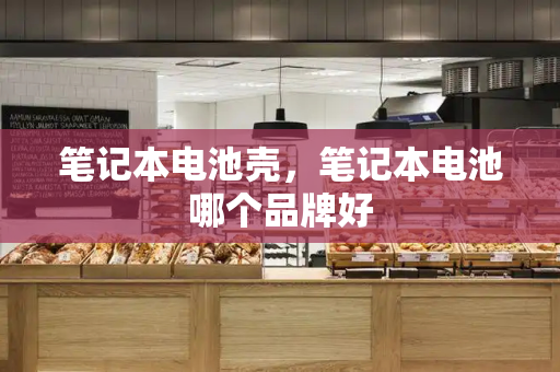 笔记本电池壳，笔记本电池哪个品牌好-第1张图片-星选测评