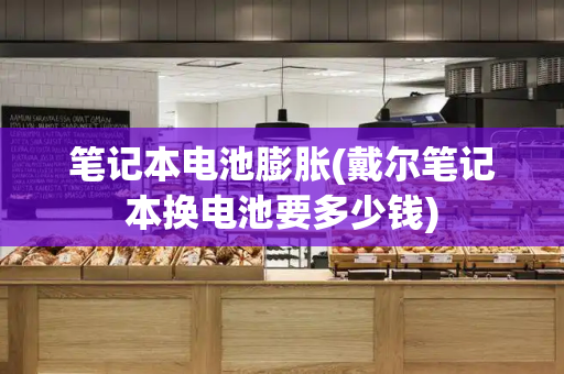 笔记本电池膨胀(戴尔笔记本换电池要多少钱)