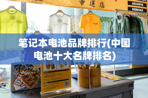 笔记本电池品牌排行(中国电池十大名牌排名)