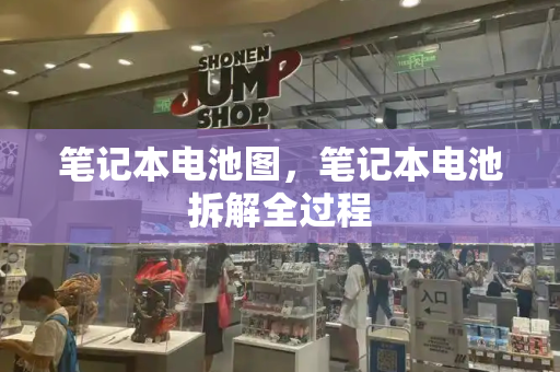 笔记本电池图，笔记本电池拆解全过程-第1张图片-星选测评
