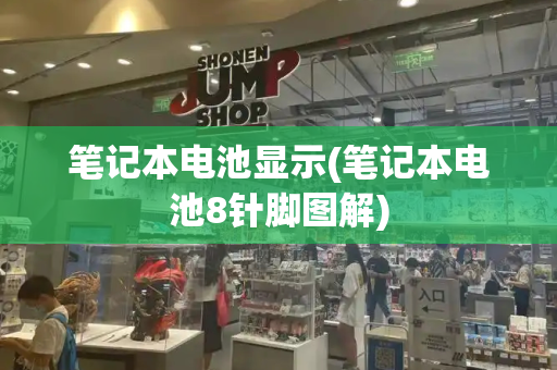 笔记本电池显示(笔记本电池8针脚图解)
