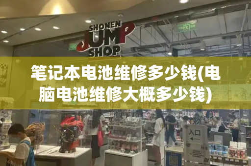 笔记本电池维修多少钱(电脑电池维修大概多少钱)-第1张图片-星选测评