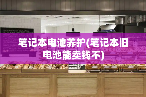笔记本电池养护(笔记本旧电池能卖钱不)