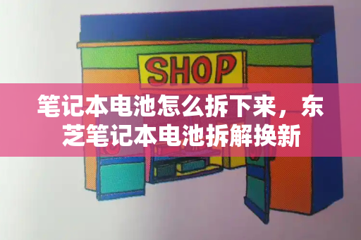 笔记本电池怎么拆下来，东芝笔记本电池拆解换新-第1张图片-星选测评