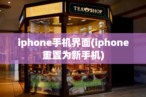 iphone手机界面(iphone重置为新手机)