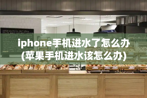 iphone手机进水了怎么办(苹果手机进水该怎么办)-第1张图片-星选测评