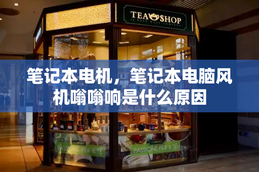 笔记本电机，笔记本电脑风机嗡嗡响是什么原因