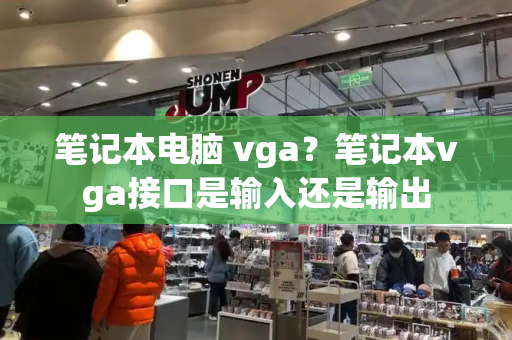笔记本电脑 vga？笔记本vga接口是输入还是输出-第1张图片-星选测评