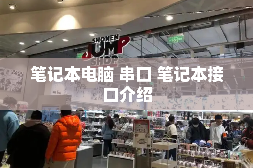 笔记本电脑 串口 笔记本接口介绍-第1张图片-星选测评