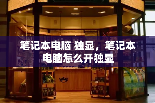 笔记本电脑 独显，笔记本电脑怎么开独显-第1张图片-星选测评