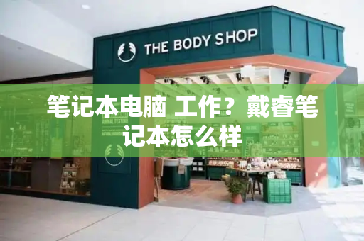 笔记本电脑 工作？戴睿笔记本怎么样