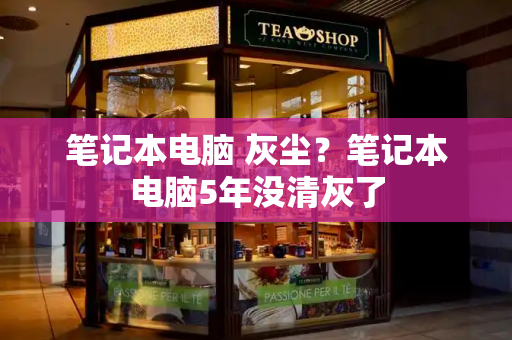 笔记本电脑 灰尘？笔记本电脑5年没清灰了-第1张图片-星选测评