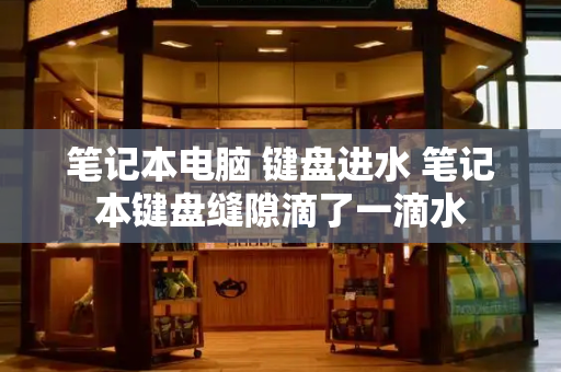笔记本电脑 键盘进水 笔记本键盘缝隙滴了一滴水-第1张图片-星选测评