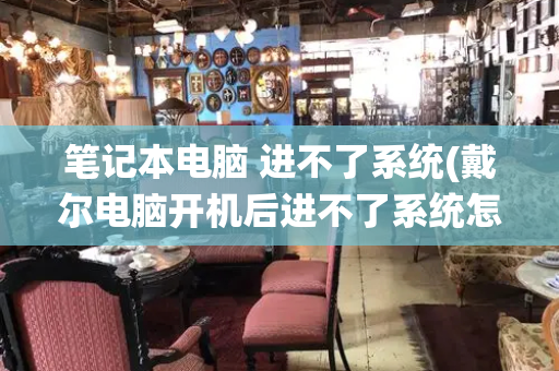 笔记本电脑 进不了系统(戴尔电脑开机后进不了系统怎么办)-第1张图片-星选测评
