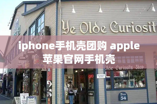 iphone手机壳团购 apple苹果官网手机壳
