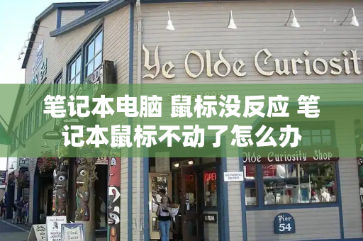 笔记本电脑 鼠标没反应 笔记本鼠标不动了怎么办-第1张图片-星选测评