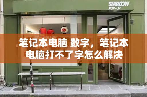 笔记本电脑 数字，笔记本电脑打不了字怎么解决