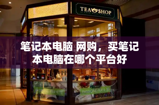 笔记本电脑 网购，买笔记本电脑在哪个平台好-第1张图片-星选测评