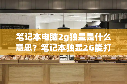 笔记本电脑2g独显是什么意思？笔记本独显2G能打LOL吗-第1张图片-星选测评