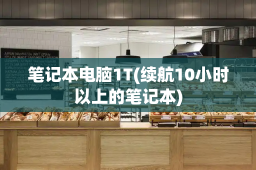 笔记本电脑1T(续航10小时以上的笔记本)