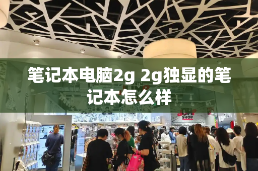 笔记本电脑2g 2g独显的笔记本怎么样-第1张图片-星选测评