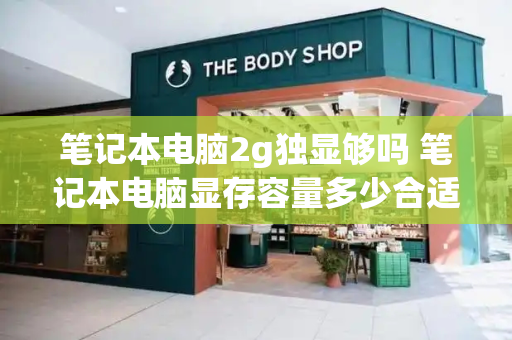 笔记本电脑2g独显够吗 笔记本电脑显存容量多少合适-第1张图片-星选测评