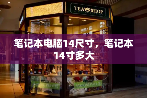 笔记本电脑14尺寸，笔记本14寸多大-第1张图片-星选测评