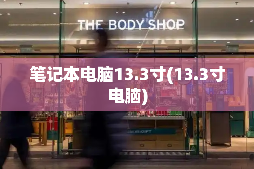 笔记本电脑13.3寸(13.3寸电脑)-第1张图片-星选测评