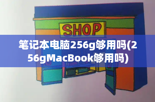 笔记本电脑256g够用吗(256gMacBook够用吗)