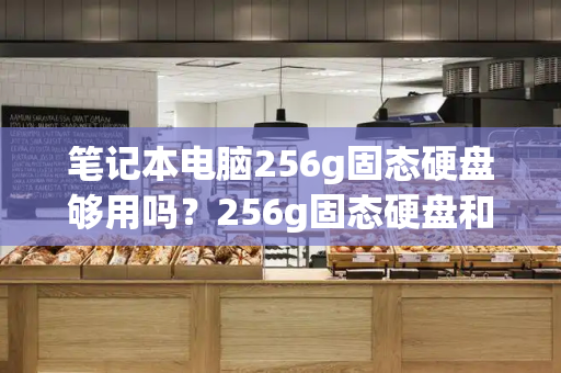 笔记本电脑256g固态硬盘够用吗？256g固态硬盘和1t硬盘-第1张图片-星选测评