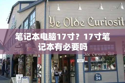 笔记本电脑17寸？17寸笔记本有必要吗-第1张图片-星选测评