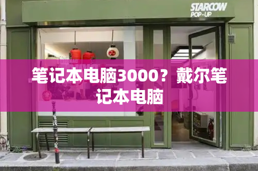 笔记本电脑3000？戴尔笔记本电脑-第1张图片-星选测评