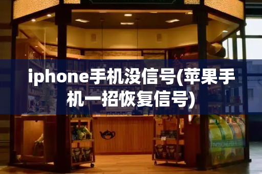 iphone手机没信号(苹果手机一招恢复信号)-第1张图片-星选测评