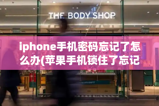 iphone手机密码忘记了怎么办(苹果手机锁住了忘记密码怎么开锁)-第1张图片-星选测评