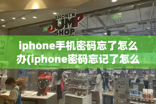 iphone手机密码忘了怎么办(iphone密码忘记了怎么重置)-第1张图片-星选测评