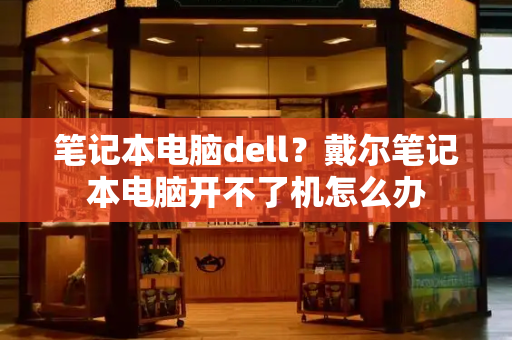 笔记本电脑dell？戴尔笔记本电脑开不了机怎么办-第1张图片-星选测评