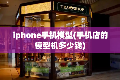 iphone手机模型(手机店的模型机多少钱)