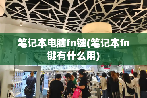 笔记本电脑fn键(笔记本fn键有什么用)-第1张图片-星选测评