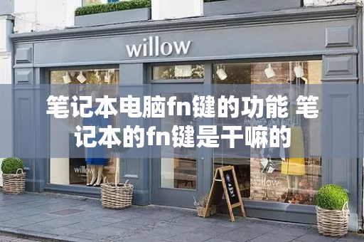 笔记本电脑fn键的功能 笔记本的fn键是干嘛的-第1张图片-星选测评
