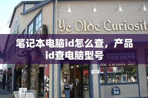 笔记本电脑id怎么查，产品id查电脑型号-第1张图片-星选测评