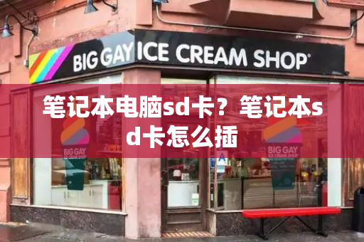 笔记本电脑sd卡？笔记本sd卡怎么插-第1张图片-星选测评