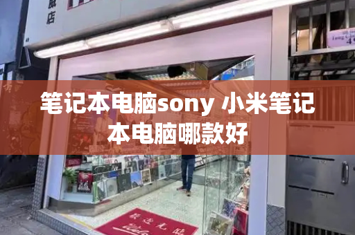 笔记本电脑sony 小米笔记本电脑哪款好-第1张图片-星选测评
