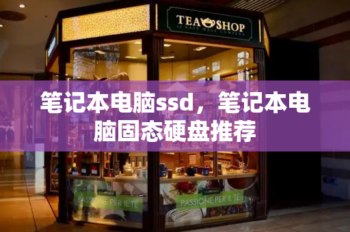 笔记本电脑ssd，笔记本电脑固态硬盘推荐