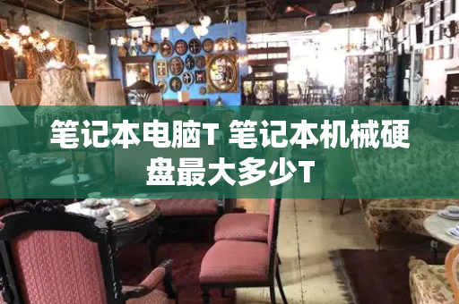 笔记本电脑T 笔记本机械硬盘最大多少T